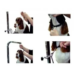 Groomers Helper 3/8" Small Dog Loop -Pet Care Shop GH L01 4