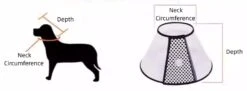 Groomtech Elizabethan Collar #9, Neck Circum 42-50cm, Depth 28cm 11 Groomtech Elizabethan Collar #9, Neck Circum 42-50cm, Depth 28cm -Pet Care Shop GT ECA09 2