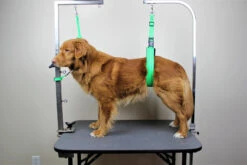 GroomTech Biothane Safety Grooming Tether [Colour: Teal] -Pet Care Shop GT SGT01 TE 1