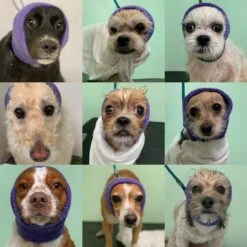 Happy Hoodie Black, X-Small 14 Happy Hoodie Black, X-Small -Pet Care Shop HH 00 BK 2