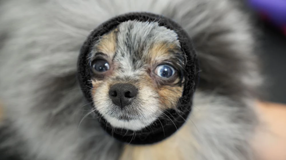 Happy Hoodie Black, X-Small 6 Happy Hoodie Black, X-Small - Image 4