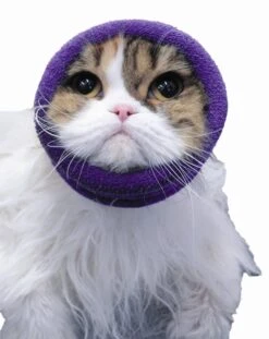 Happy Hoodie Pink, X-Small -Pet Care Shop HH 00 PK 9