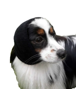 Happy Hoodie Purple, X-Small -Pet Care Shop HH 00 PP 3