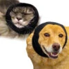Happy Hoodie Black, Pack Of 2 2 Happy Hoodie Black, Pack Of 2 -Pet Care Shop HH 01 BK