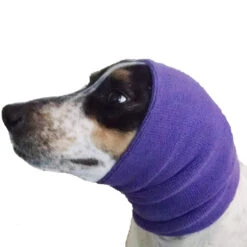 Happy Hoodie Purple, Pack Of 2 16 Happy Hoodie Purple, Pack Of 2 -Pet Care Shop HH 01 PP 4