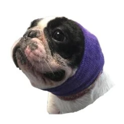 Happy Hoodie Purple, Pack Of 2 17 Happy Hoodie Purple, Pack Of 2 -Pet Care Shop HH 01 PP 5