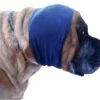 Happy Hoodie Blue, X-Large -Pet Care Shop HH 02 BU