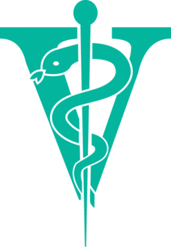 Joyzze Hornet Mini Trimmer 2 Speed [Teal] -Pet Care Shop JY 99027 8