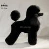 Mr. Jiang Poodle Lamb Clip Full Body Coat / Model Dog [Black] -Pet Care Shop MJ PC02K