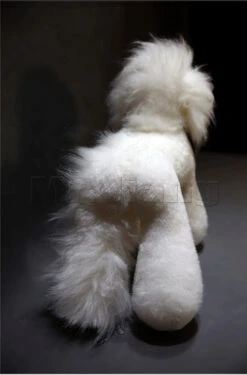 Mr. Jiang Teddy Bear Full Body Coat / Model Dog [White] -Pet Care Shop MJ TB02W 8