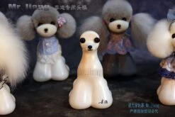 Mr. Jiang Teddy Bear Head Mannequin / Model Dog -Pet Care Shop MJ TB03 4