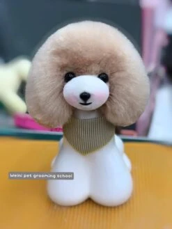 Mr. Jiang Teddy Bear Head Hair / Model Dog [Champagne] -Pet Care Shop MJ TB04C 2