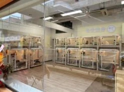 Smart Dog Cabin M01 Pro -Pet Care Shop PI M01Pro