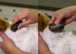 Show Tech Stripping Stone 9x6x2.5cm -Pet Care Shop ST 90070 2