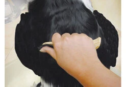 Show Tech Ultra Pro Set Of 4 Stripping Knife -Pet Care Shop ST 93581 6