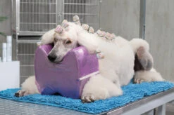 Show Tech Topknot Cushion Pillow Glitzy Purple - Small 8 Show Tech Topknot Cushion Pillow Glitzy Purple - Small -Pet Care Shop ST 94914 2