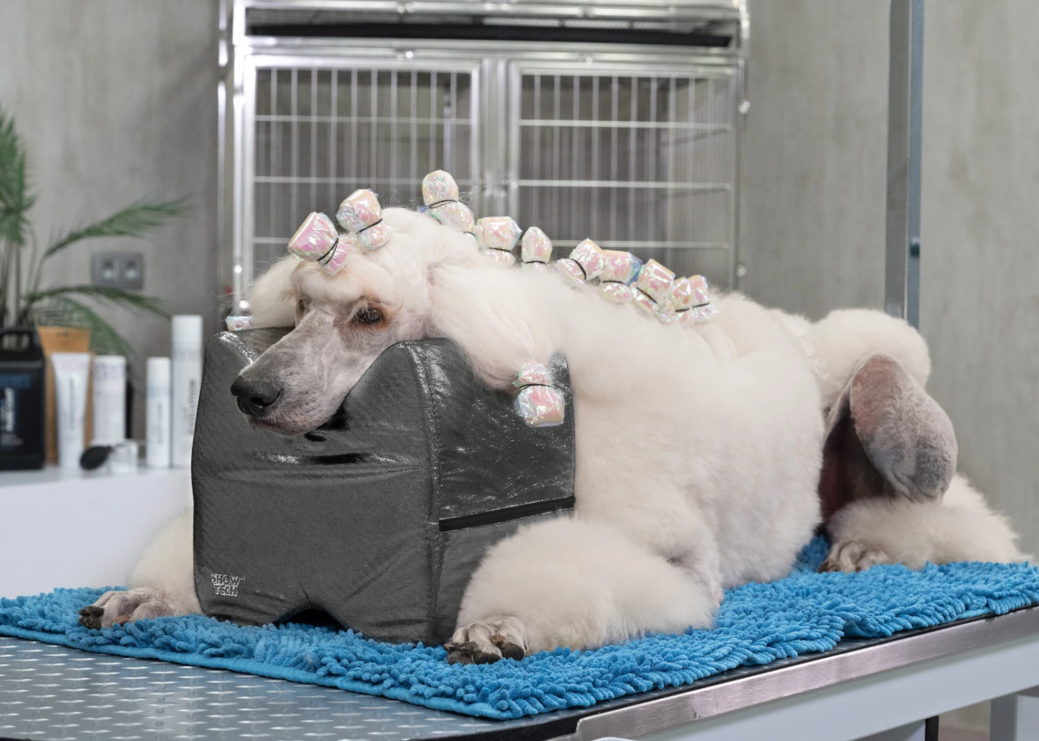 Show Tech Topknot Cushion Pillow Glitzy Black - Medium 7 Show Tech Topknot Cushion Pillow Glitzy Black - Medium - Image 5