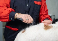 Show Tech Comfy Stripping Stick 13mm Double Sided -Pet Care Shop ST 95086 2