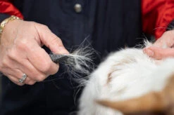 Show Tech Comfy Stripping Stick 13mm Double Sided -Pet Care Shop ST 95086 3