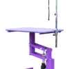 Aeolus Classic Z Shape Electric Lifting Table - Medium [Purple] -Pet Care Shop T FT802E PP