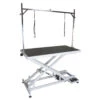 Aeolus Low-Low Electric Lifting Table -Pet Care Shop T FT808