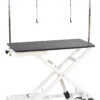 Aeolus Low-Low Electric Lifting Table Eco Version -Pet Care Shop T FT808 ECO