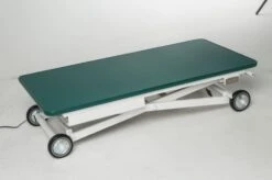 AEOLUS Electric Competition Table 10 AEOLUS Electric Competition Table -Pet Care Shop T FT833E 2