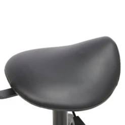 Groomer's Saddle Stool With Back Rest (Black) -Pet Care Shop T GC010 2