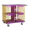 Aeolus 4-Berth Show Trolley With 6" Rubber Wheels - Large [Gold And Purple] -Pet Care Shop T KB511NAF GP Kit6W