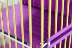 Aeolus 4-Berth Show Trolley With 6" Rubber Wheels - Large [Gold And Purple] -Pet Care Shop T KB511NAF GP Kit6W 4