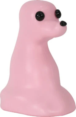 KissGrooming Head Mannequin (Teddy Bear) Model Dog 2022 Style