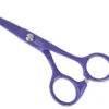 Swan Facial Scissors Round Tip 5" [Purple] -Pet Care Shop T SW52150