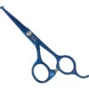 Swan Facial Scissors Round Tip 5" [Blue] -Pet Care Shop T SW54150