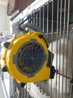 Aeolus Mini Cage Dryer 13 Aeolus Mini Cage Dryer -Pet Care Shop T TD903Mini 5