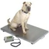 Stainless Steel Walk On Animal Scale [Medium] -Pet Care Shop T WOS3624