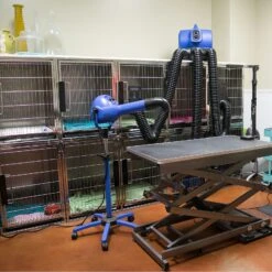 XPower Pro Finishing Plus Anionic Stand Dryer B18 14 XPower Pro Finishing Plus Anionic Stand Dryer B18 -Pet Care Shop XP B18 5