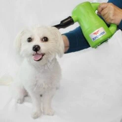 XPower Airrow Pro Dryer Air Pump Duster Blower B53 [Green] -Pet Care Shop XP B53 GR 4